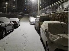 青島！大(dà)雪！大(dà)愛(ài)！