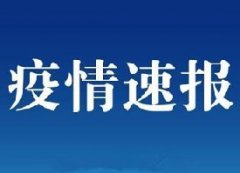 北京16日新增本地确診病例31例